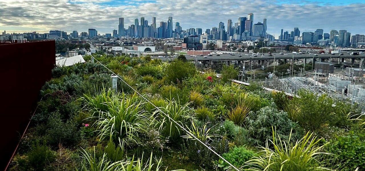 A biodiverse green roof was built on top of a seven-story commercial office space in Kensington, Victoria